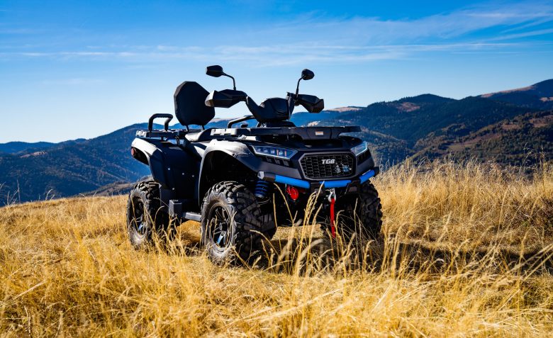 BLADE 600 (11) BLADE 600 (11)