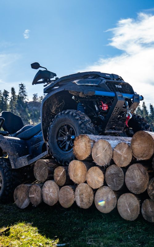 BLADE 600 (17)